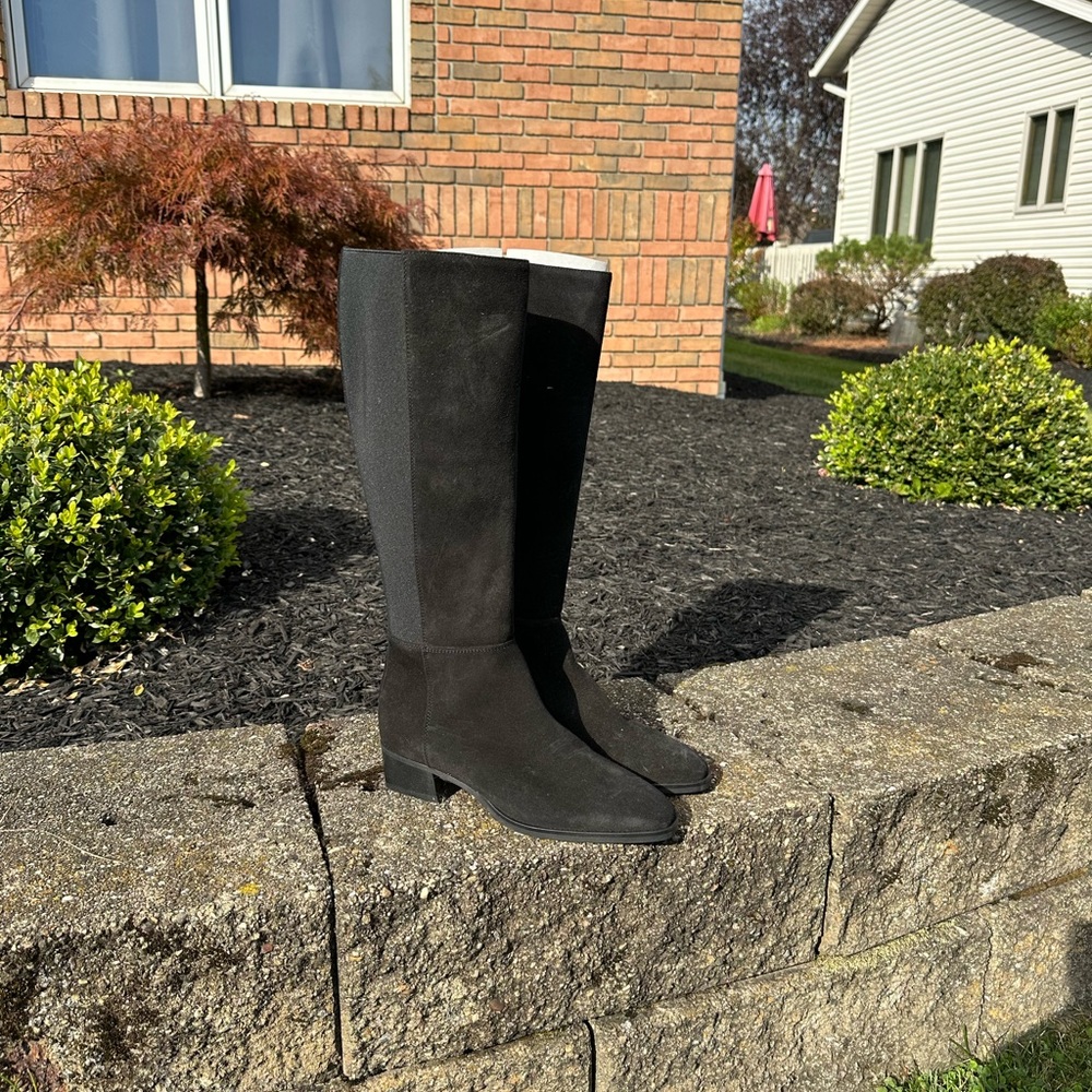 Aquatalia Finola suede tall boot